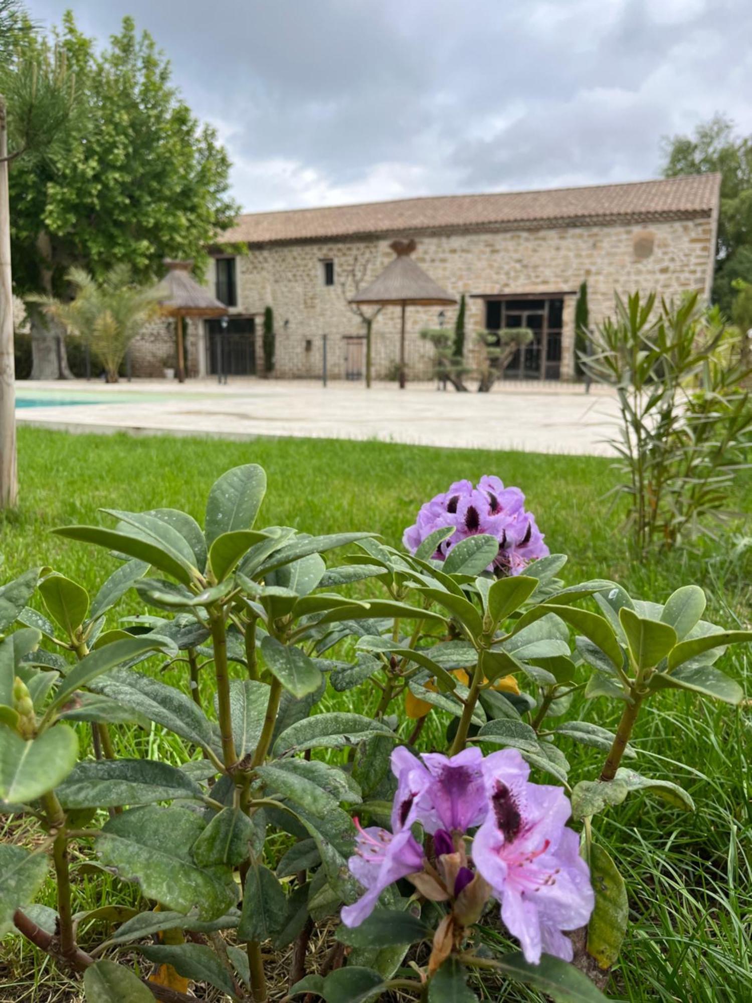 Le Mas Mila Monteux Exteriér fotografie